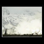 Elk at Grand Teton Postcard