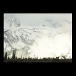 Elk at Grand Teton Poster Print