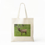 Elk Bag