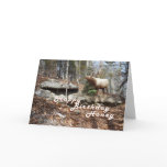 Elk Birthday card