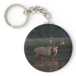 Elk Bugling Key Chains