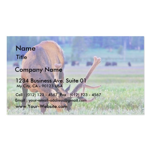 Elk Business Card