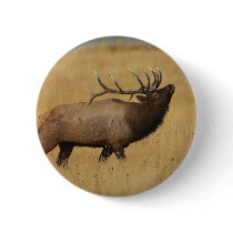 elk pin