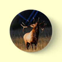 elk buttons