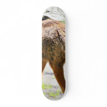 Elk Calf Animal Skateboard