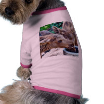 Elk Calves Drinking pet clothing