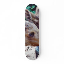 Elk Calves Drinking skateboards