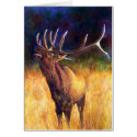 Elk Card by artbyjolyn Elk Card