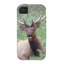 Elk Case-Mate iPhone 4 Case