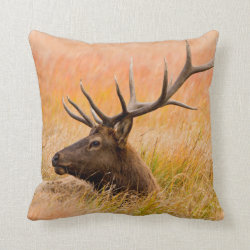 Elk (Cervus Elephus) Resting In Meadow Grass Throw Pillows