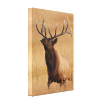 elk charging canvas prints