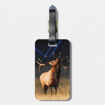 Elk Charging Luggage Tags
