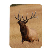 elk charging flexible magnets