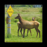 Elk Crossing Magnet