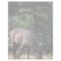 Elk feeding in Banff National Park, Alberta, Canad Letterhead Design