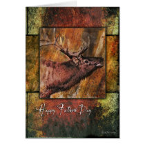 Elk Framed-FD cards by William63 Elk Framed-FD cards