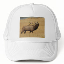 elk trucker hats