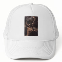 elk hats by WorldDesign elk hats