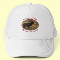 elk hats