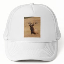 elk hats