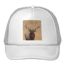 elk hat