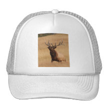 elk hats