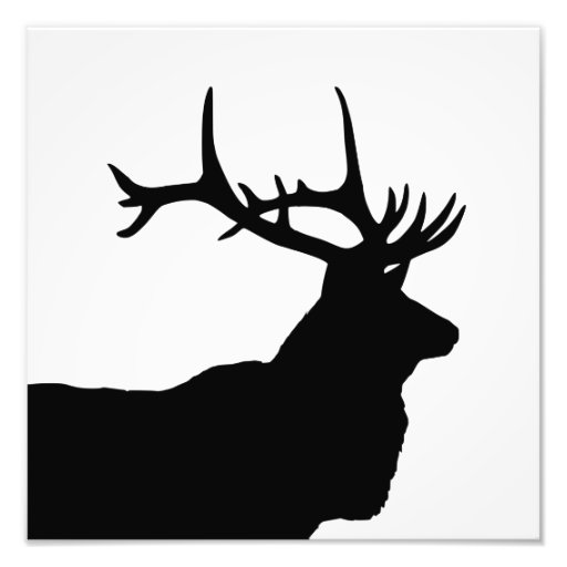 Elk Head Silhouette Photo Print | Zazzle