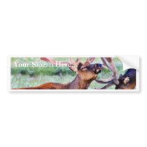 Elk Horns Bumper Sticker