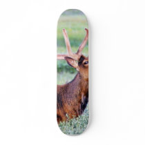 Elk Horns skateboards