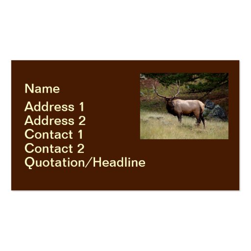 Elk in the Wild Business Card Templates (front side)