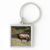 Elk in the Wild Keychains