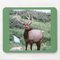 Elk in Velvet Mousepad