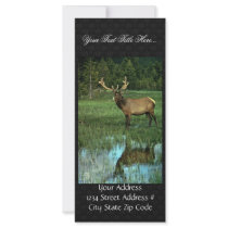 Elk in Velvet Full Color Rack Card