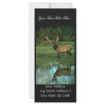 Elk in Velvet Full Color Rack Card