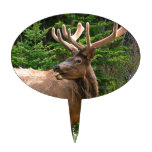 Elk in Velvet Unique Wildlife Gift Ideas Hunters Cake Picks