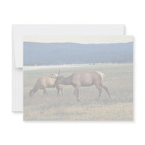 Elk Personalized Invitation