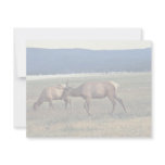 Elk Personalized Invitation