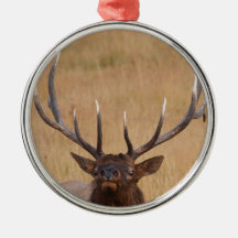 elk is here christmas ornaments
