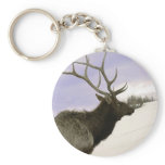 Elk Keychains