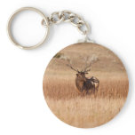 Elk Key Chains