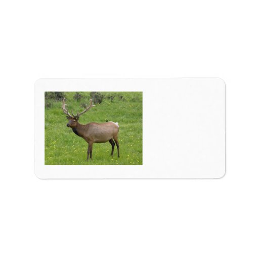 Elk Label