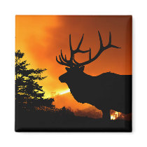 Elk magnets