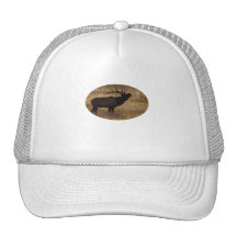 elk mesh hat