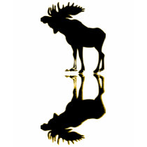 elk Moose Elch t-shirts by nocturn elk Moose Elch t-shirts