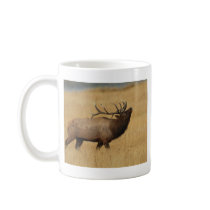 elk mugs