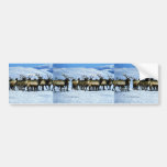Elk, National Elk Refuge Bumper Sticker