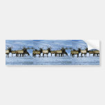 Elk, National Elk Refuge Bumper Stickers