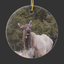 Elk Ornament ornaments