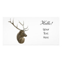 Elk Photo Card photo cards by twopurringcats Elk Photo Card photo cards