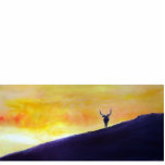 Elk Photo Cutouts